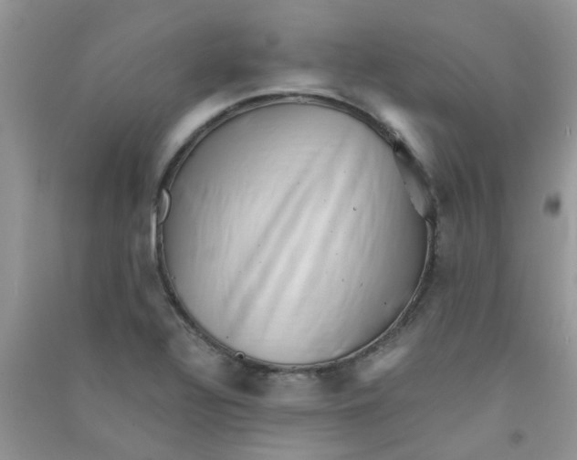 X0000090721320200708171918