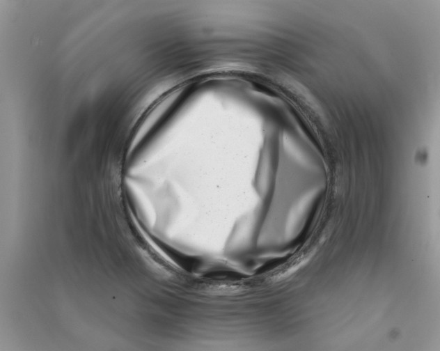 X0000090721321200708171918