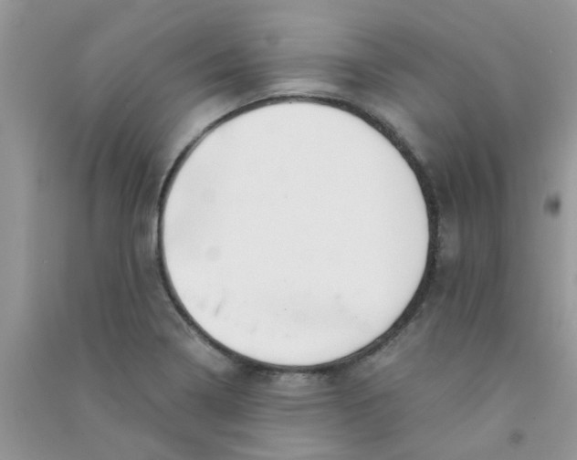 X0000090721322200708171918