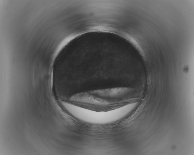 X0000090721323200708171918