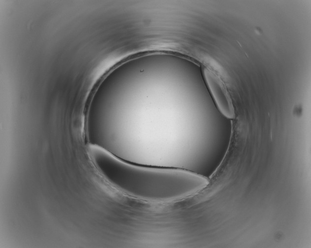 X0000090721324200708171918