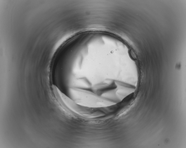 X0000090721325200708171918