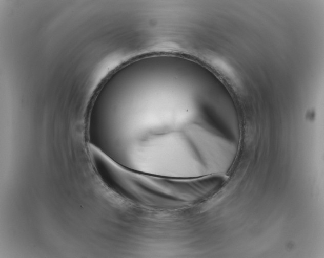 X0000090721326200708171918