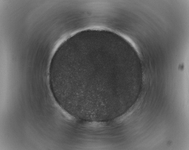 X0000090721327200708171918