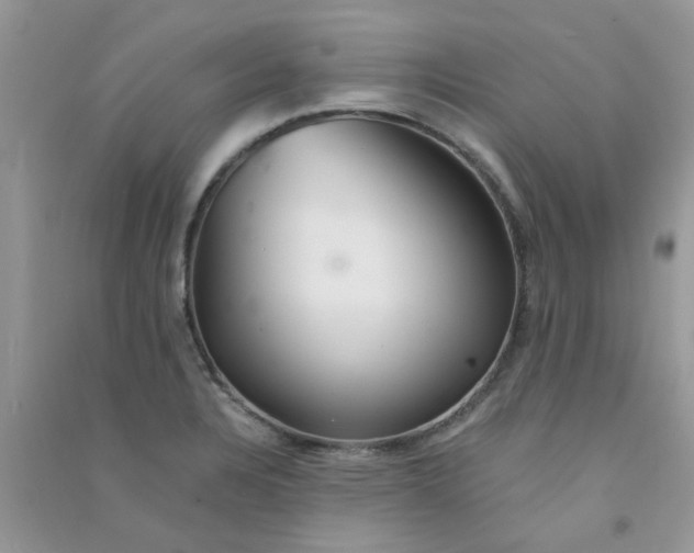 X0000090721328200708171918