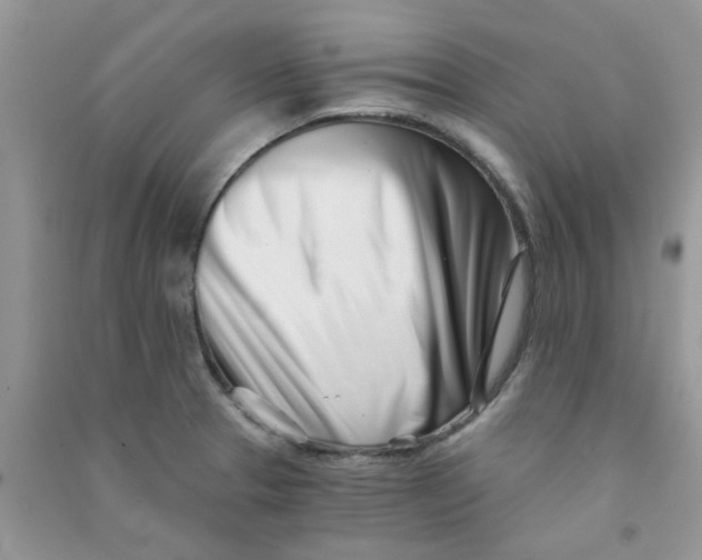 X0000090721329200708171918