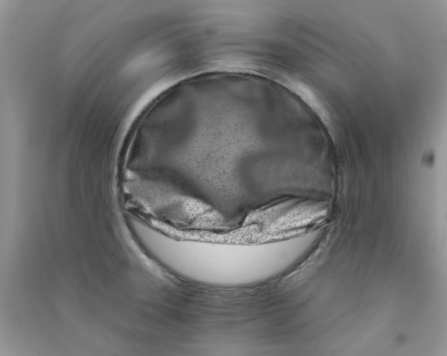 X0000090721331200708171918