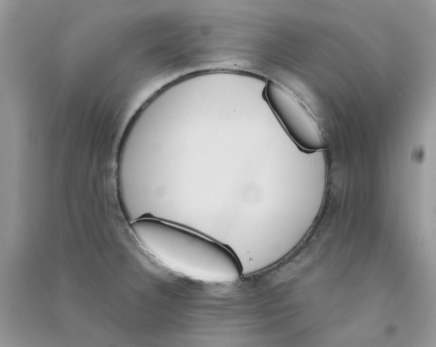 X0000090721332200708171918