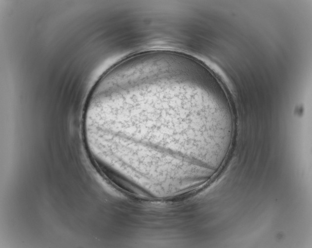 X0000090721333200708171918