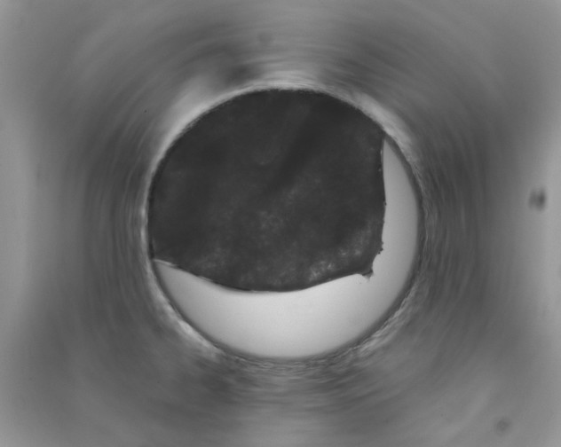 X0000090721334200708171918