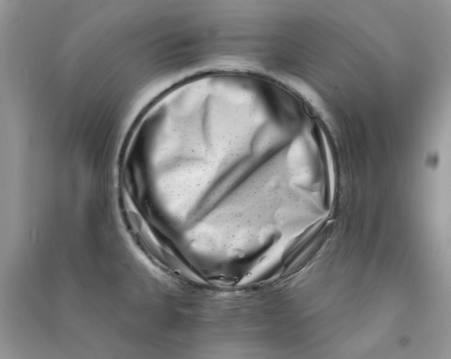 X0000090721335200708171918