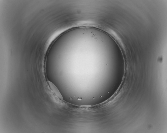 X0000090721336200708171918