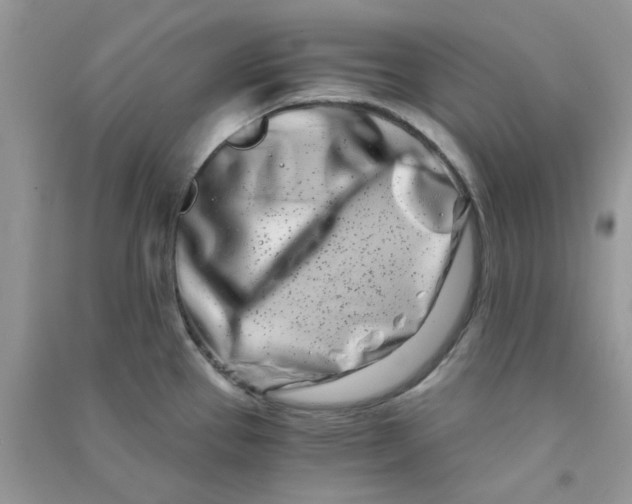 X0000090721337200708171918