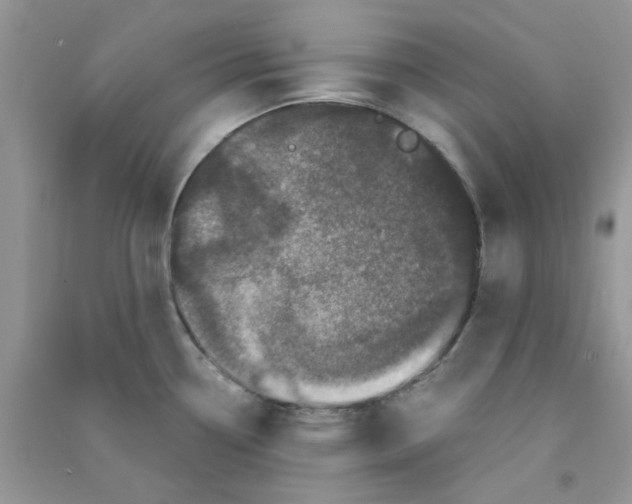 X0000090721338200708171918