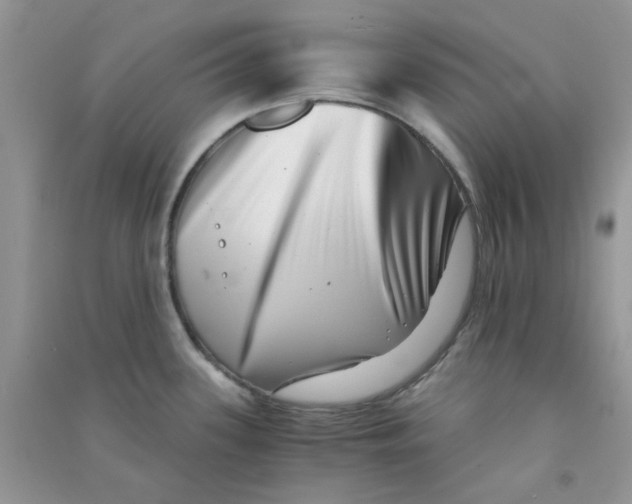 X0000090721339200708171918