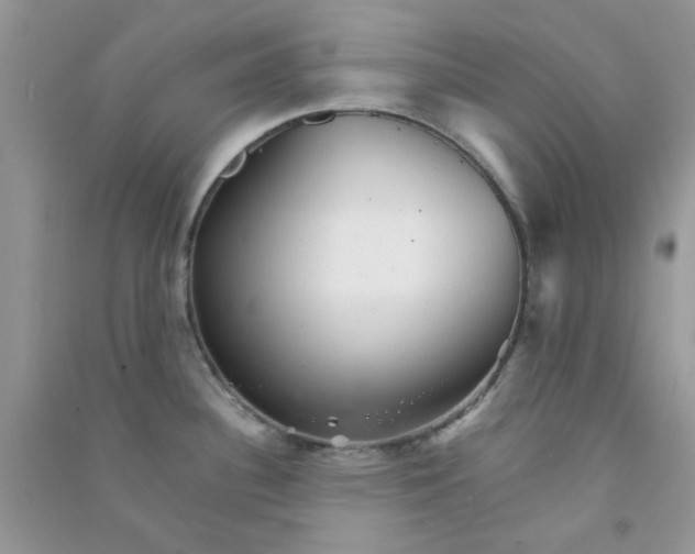 X0000090721340200708171918