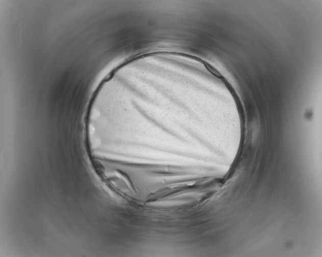 X0000090721341200708171918