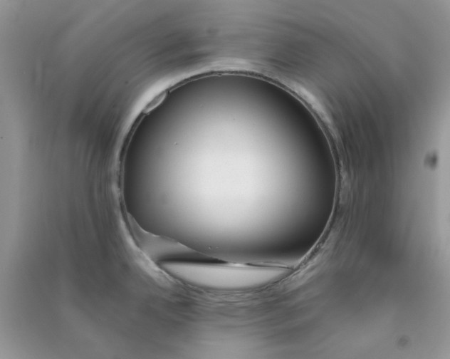 X0000090721342200708171918