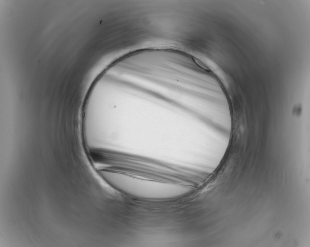 X0000090721343200708171919