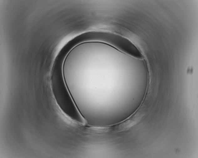 X0000090721344200708171919