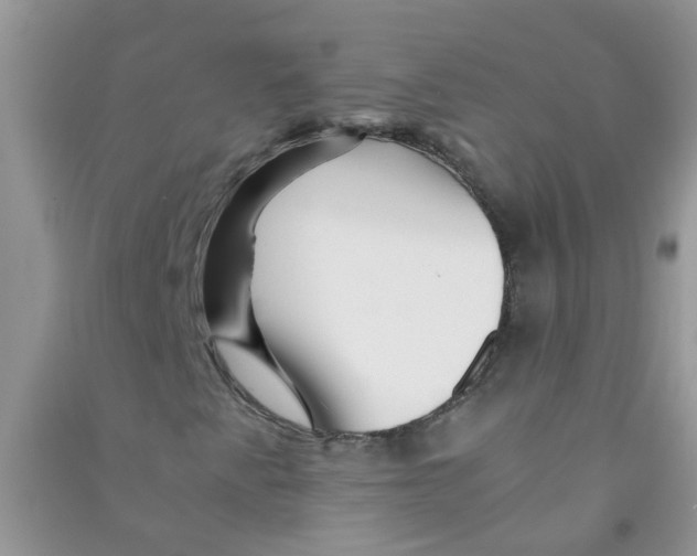 X0000090721345200708171918