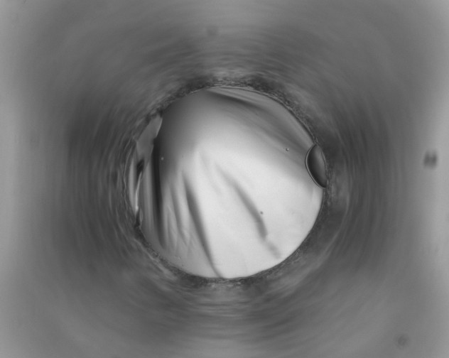 X0000090721346200708171918