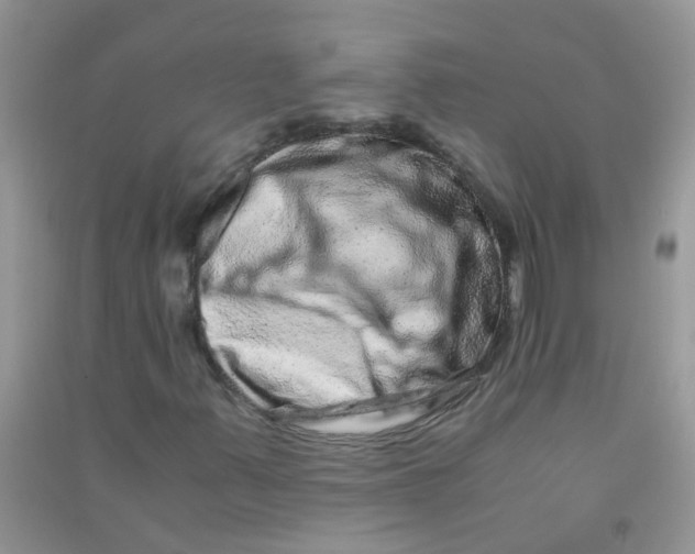 X0000090721347200708171918