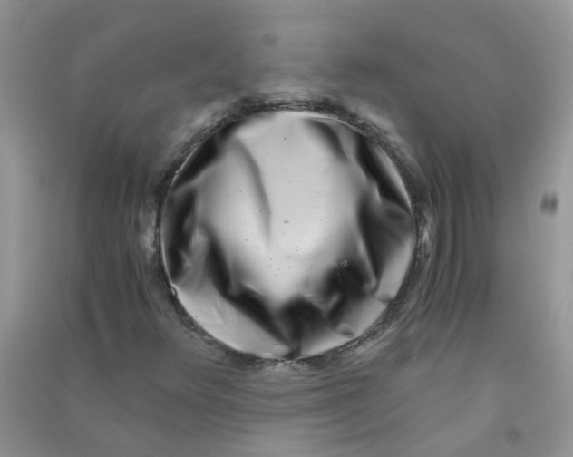 X0000090721348200708171918