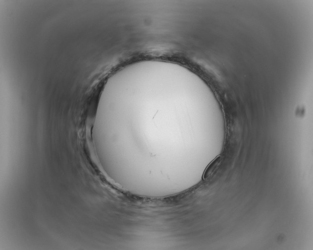 X0000090721349200708171918