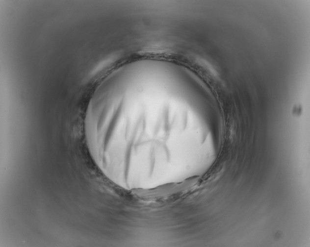 X0000090721350200708171918