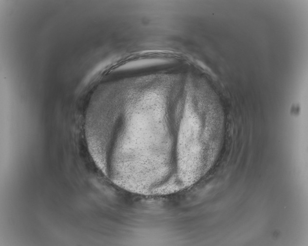 X0000090721351200708171918