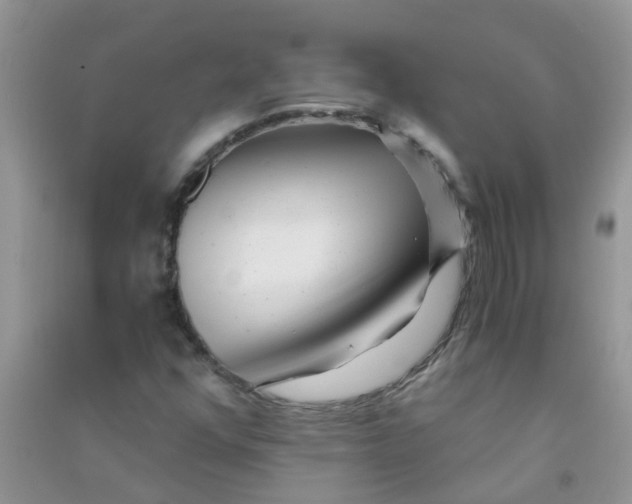 X0000090721352200708171918