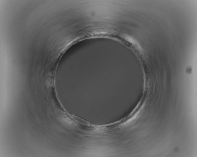 X0000090721353200708171918