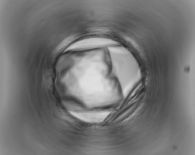 X0000090721354200708171918