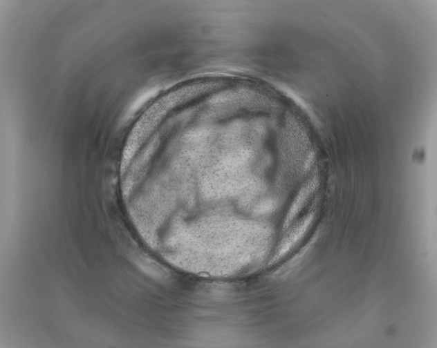 X0000090721355200708171918