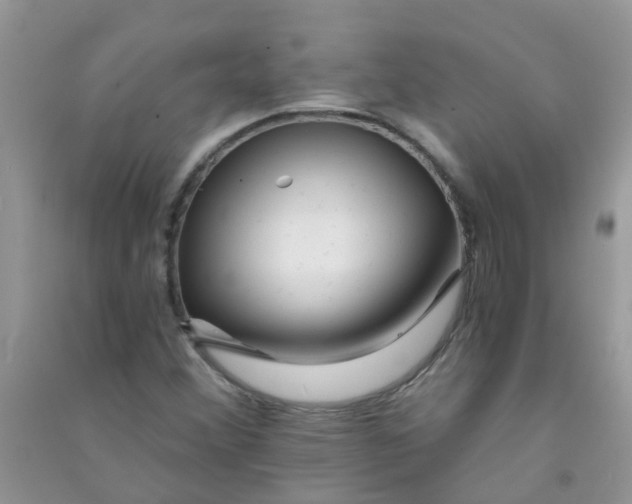 X0000090721356200708171918