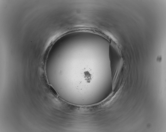 X0000090721357200708171918