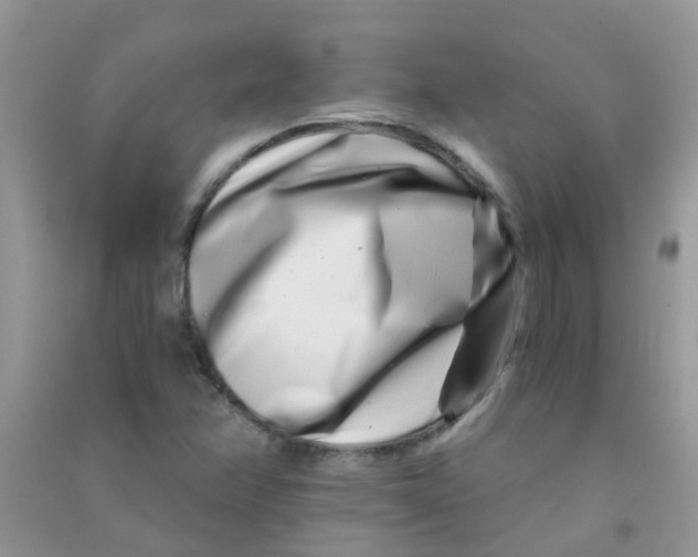 X0000090721358200708171918