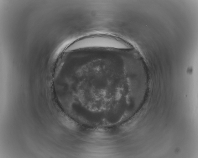 X0000090721359200708171918