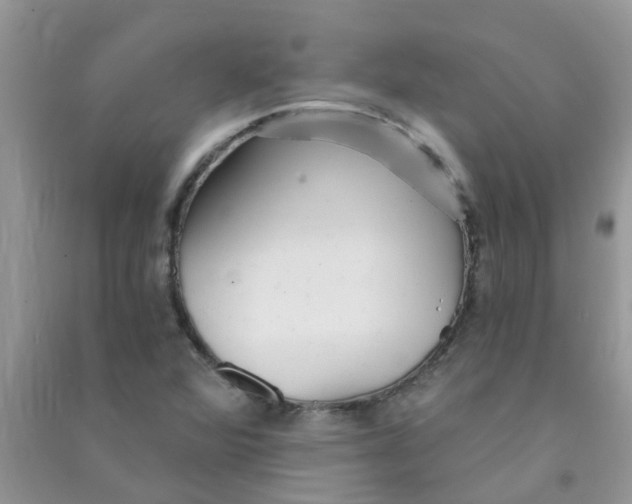 X0000090721360200708171918