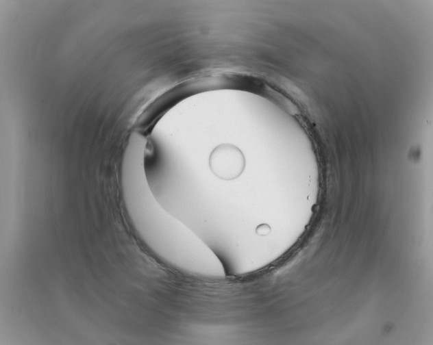 X0000090721361200708171918