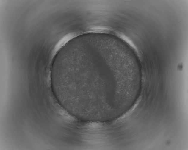 X0000090721362200708171918