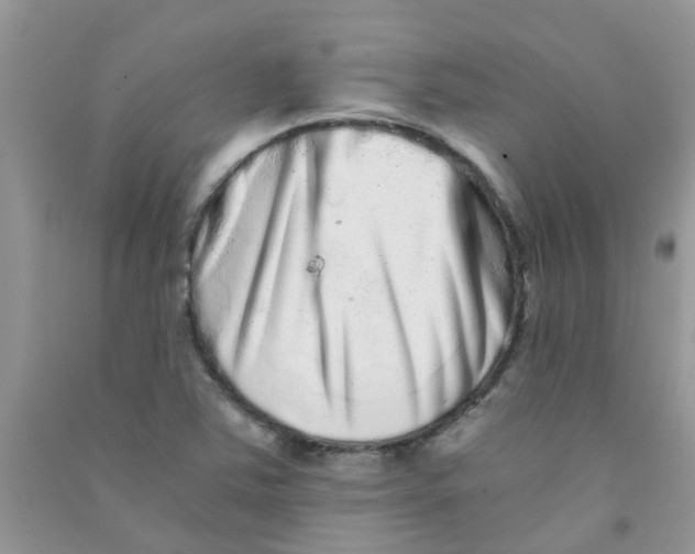 X0000090721363200708171918