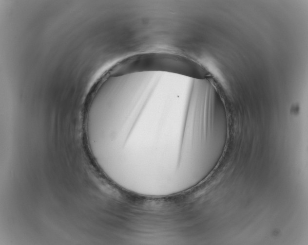 X0000090721364200708171918