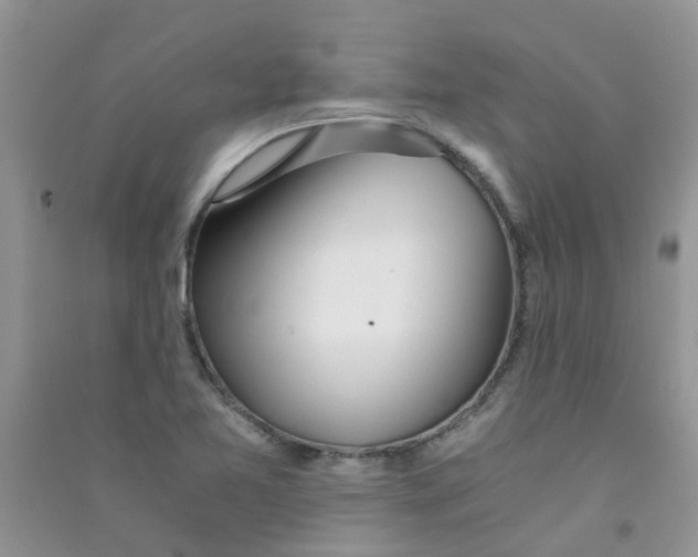 X0000090721365200708171918