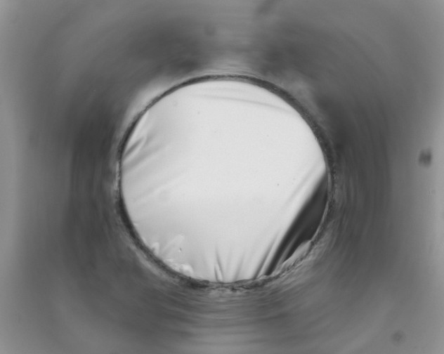 X0000090721366200708171918