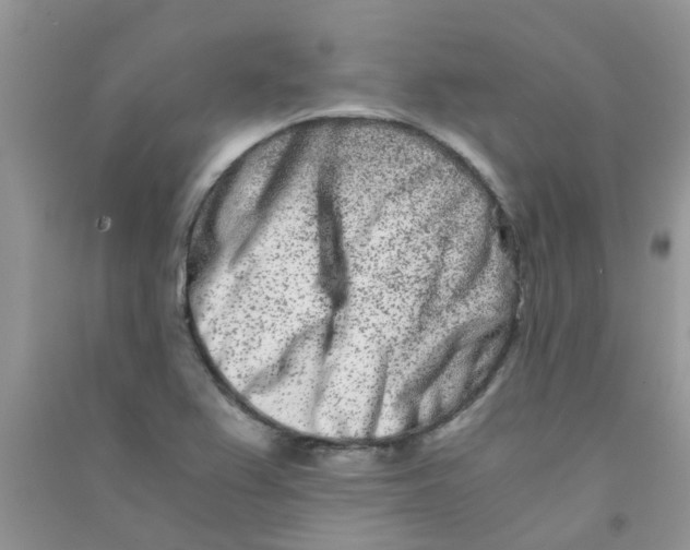 X0000090721367200708171918