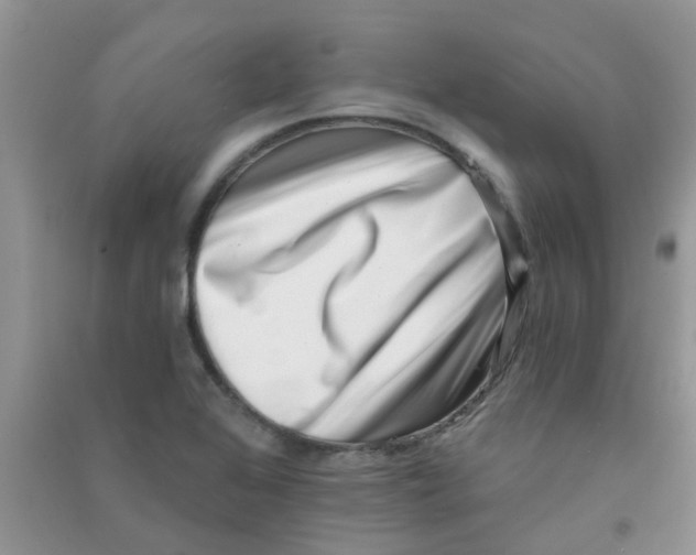 X0000090721368200708171918