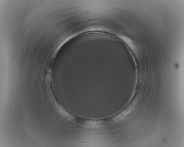 X0000090721369200708171918