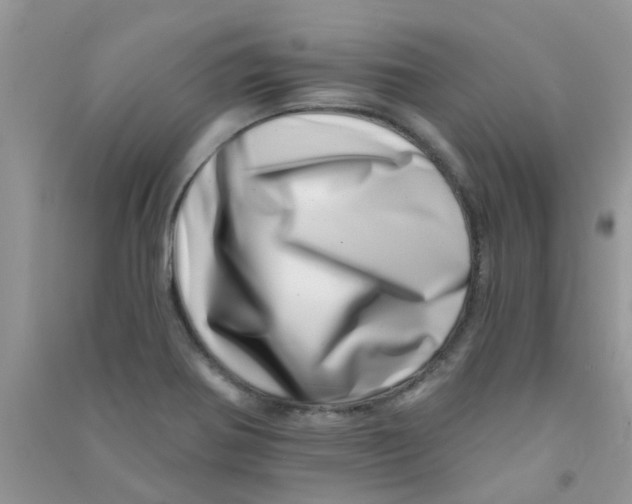 X0000090721370200708171918